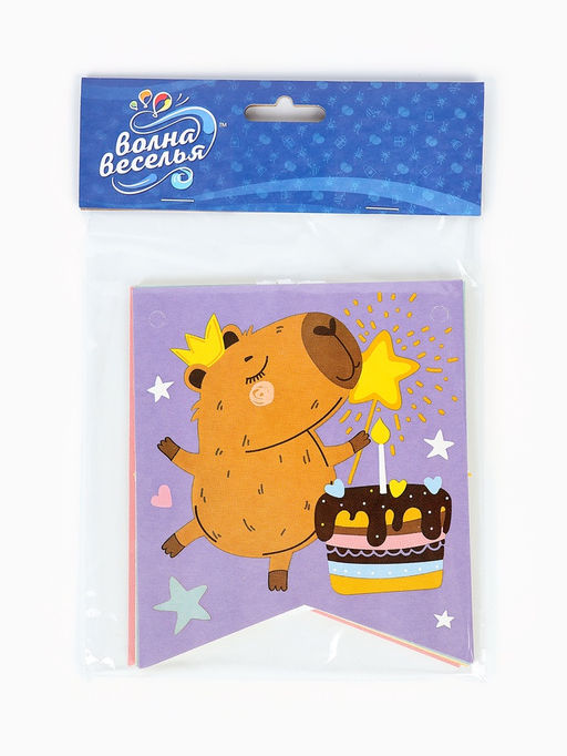 Гирлянда-флажки «С Днем Рождения!», 240 см