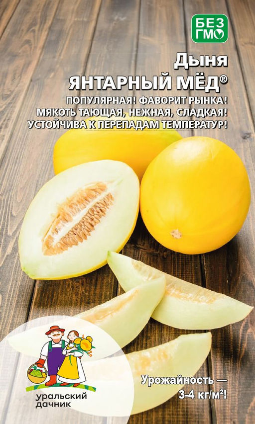 Дыня ЯНТАРНЫЙ МЁД Популярная! Фаворит рынка! Мякоть тающая, нежная, сладкая! Устойчива к перепадам температур!