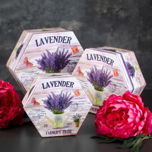 Набор коробок 3 в 1, 19 х 19 х 9 - 14 х 14 х 7 см