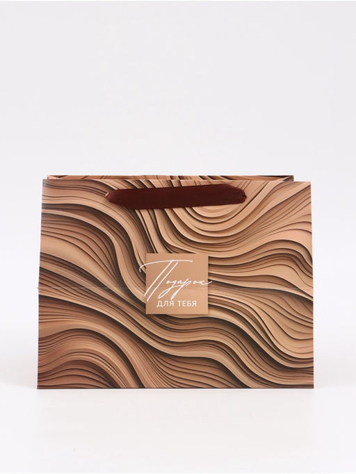 Цена за 2 шт. Пакет подарочный с широким дном «Подарок», 25 × 19 × 18 см