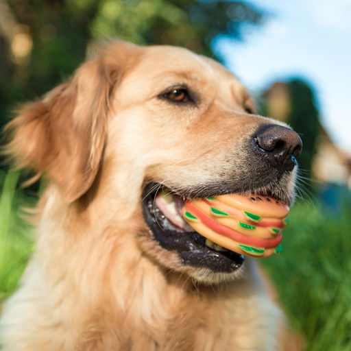 Игрушка пищащая Гамбургер с салатом для собак, 9,5 см - Пижон фото 5
