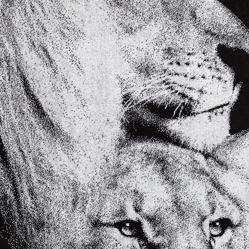 Полотенце махровое Этель «Львы» 70×130 см, 100% хлопок, 420 г/м², чёрно-белое