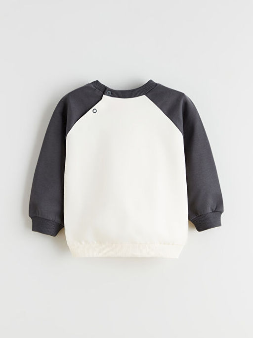 Bisiklet Yaka Paw Patrol Bask?l? Erkek Bebek Sweatshirt ve E?ofman Alt