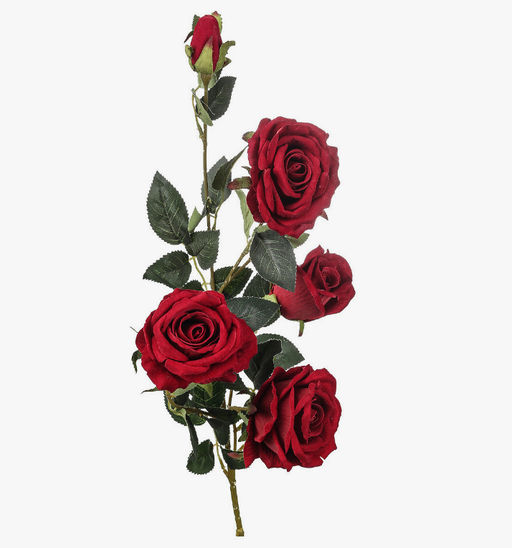 Букет высоких Роз 5 голов, высота 110-120см