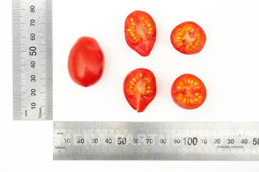 Томат Монпансье - Партнер фото 5