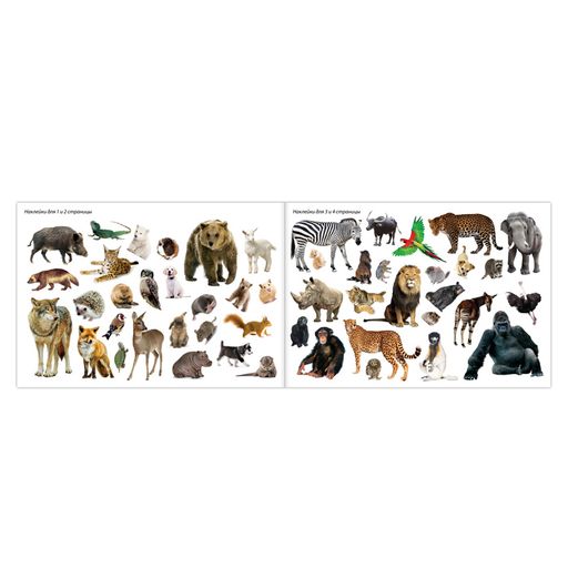 100 наклеек набор Обучающие, 4 шт. по 12 стр. - Буква-ленд фото 3