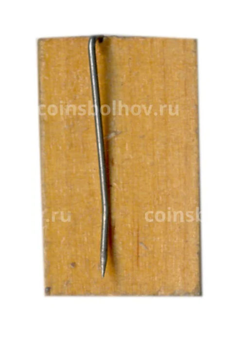 Значок Кижи