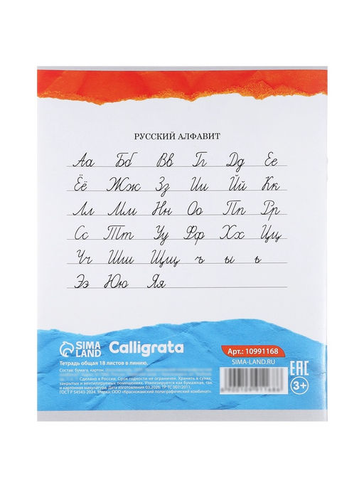 Набор тетрадей из 10 штук, 18 листов в линейку Calligrata KIDS, блок №2, 5 видов