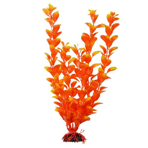 Растение Plant 011 Людвигия оранжевая 10 см PLANT 011/10