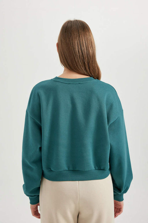 Толстый толстый свитшот Cool Oversize с круглым вырезом - Defacto фото 7
