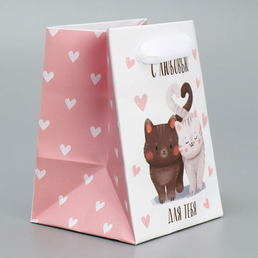 Цена за 4 шт. Пакет подарочный ламинированный, упаковка, «Котики», 7 х 10 х 7 см