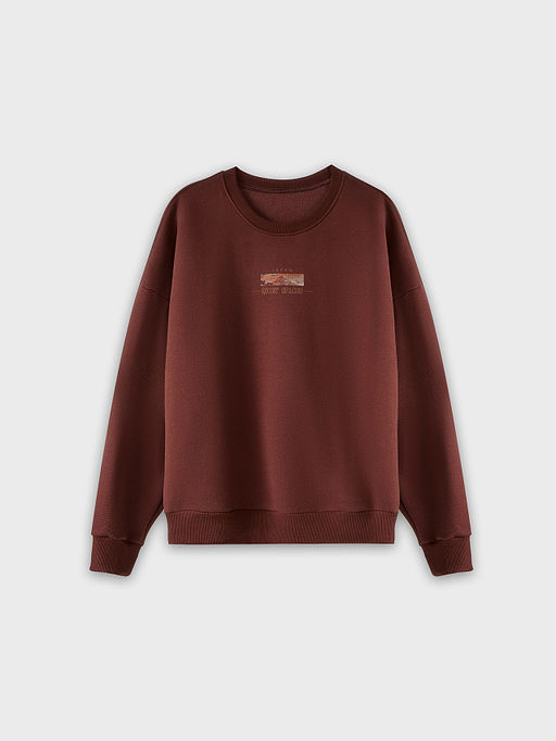 Теплый свитшот мужской коричневый с начесом и художественным принтом - Mark formelle фото 4