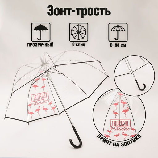 Зонт женский механический, купол Tropical Paradise, 8 спиц, d = 88 см, прозрачный, механический