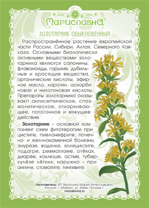 2 шт. Золотая розга (золотарник), (трава) - Мариславна фото 2