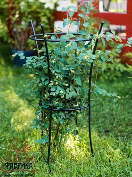 Опора для растений 58-913B - Фабрика интерьерной ковки фото 4