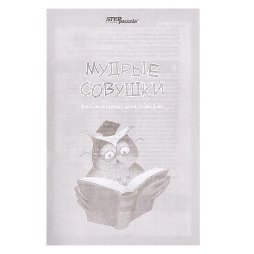 Дорожная игра «Мудрые совушки»