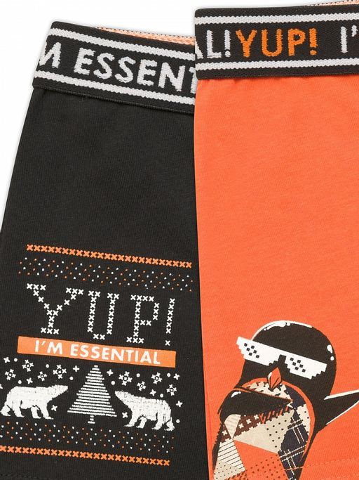 BUHB3871(2шт. в упаковке) трусы для мальчиков - Pelican фото 2