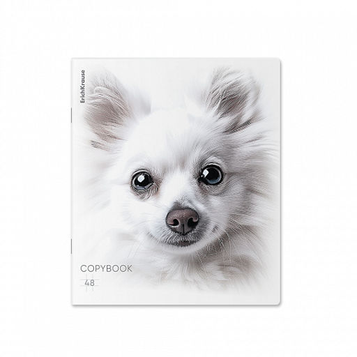 Цена за 5 шт. Тетрадь общая ученическая ErichKrause Whiteout, 48 листов, клетка, ламинация soft-touch+выборочный УФ-лак_MIX-PACK фото 6