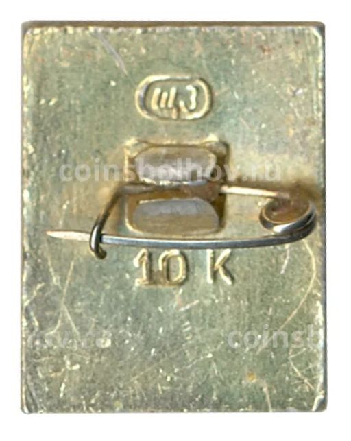 Значок Кострома