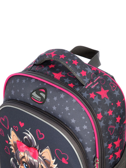 Рюкзак школьный SK1-32 - Steiner фото 14