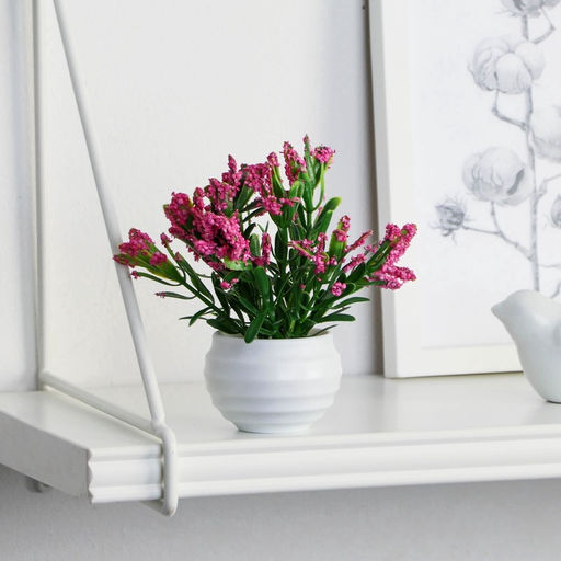 Искусственный цветок в горшке «Крассула», 5.5×11 см, МИКС