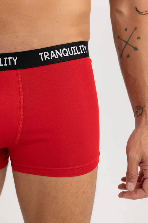 Комплект боксеров стандартной посадки (3 шт.) - Defacto фото 3