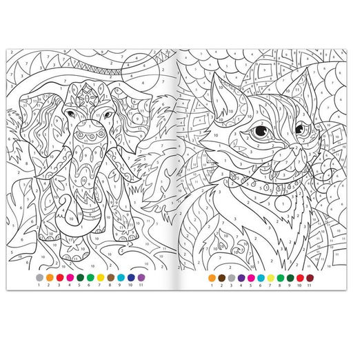 Цена за 2 шт. Раскраска по номерам Удивительный мир, 16 стр., формат А4