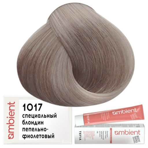 1017 Специальный блондин пепельно-фиолетовый AMBIENT, стойкая крем-краска 60 мл - Tefia фото 2