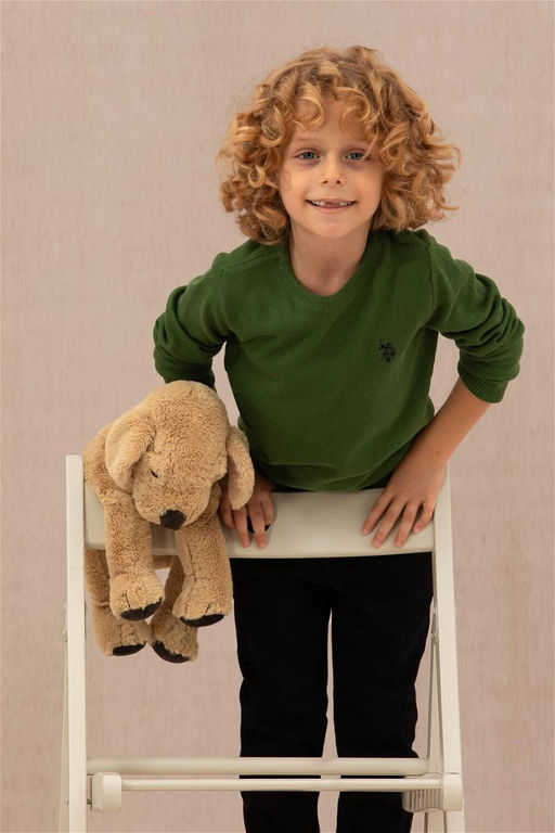 U. S. Polo Assn Зеленый базовый свитер для мальчика - U.s. polo assn фото 5