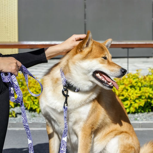 Поводок В гармонии с природой, 2.5 см, 3 м - Пушистое счастье фото 2