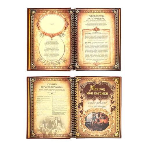 Родословная книга История семьи, 27 листов, 24.5 х 29.2 см - Семейные традиции фото 5