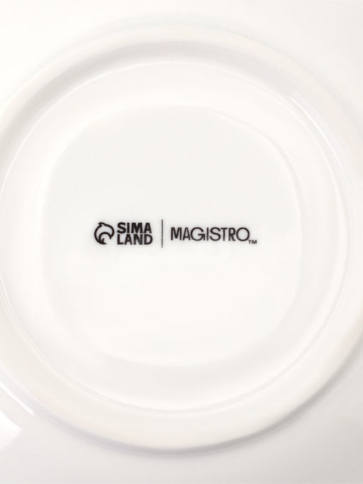 Чайная пара Magistro "Бланш" кружка 200 мл