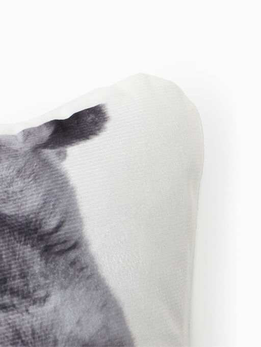 Подушка Этель Сat family 40?33 см, 100% п/э, велюр  фото 2