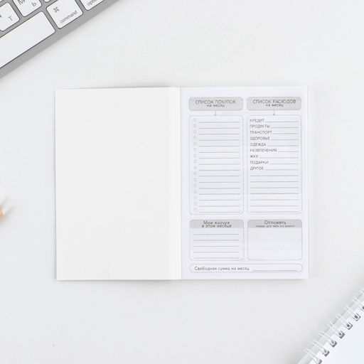 Цена за 2 шт. Блокнот для планирования финансов А6, 52 листа «Кот»