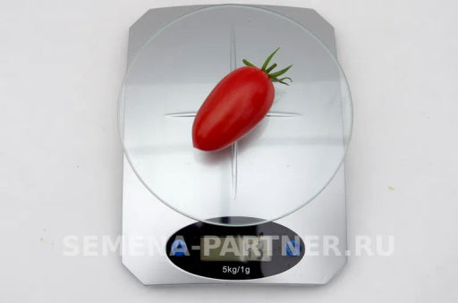 Томат Джек Пот - Партнер фото 5