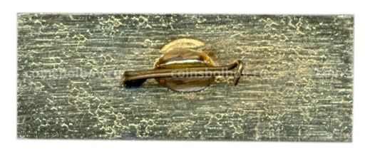 Значок 50 лет ПОЭЗСOИ