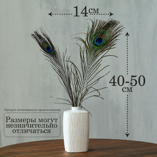 Перо павлина для декора, набор 2 шт., размер 1 шт. — от 40 до 50 см