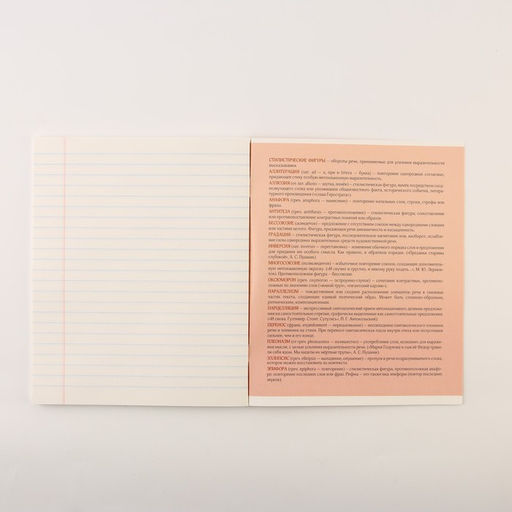 Тетради предметные, 48 л., А5, набор из 4 шт. «Персонажи»