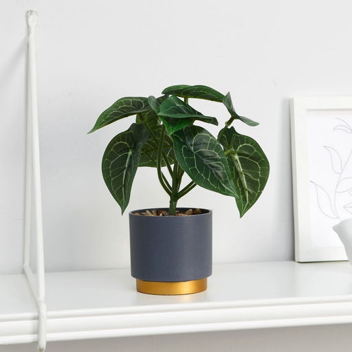 Искусственный цветок в горшке «Алоказия галант», 7.5×15 см