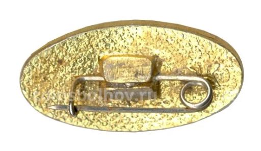 Значок Славич