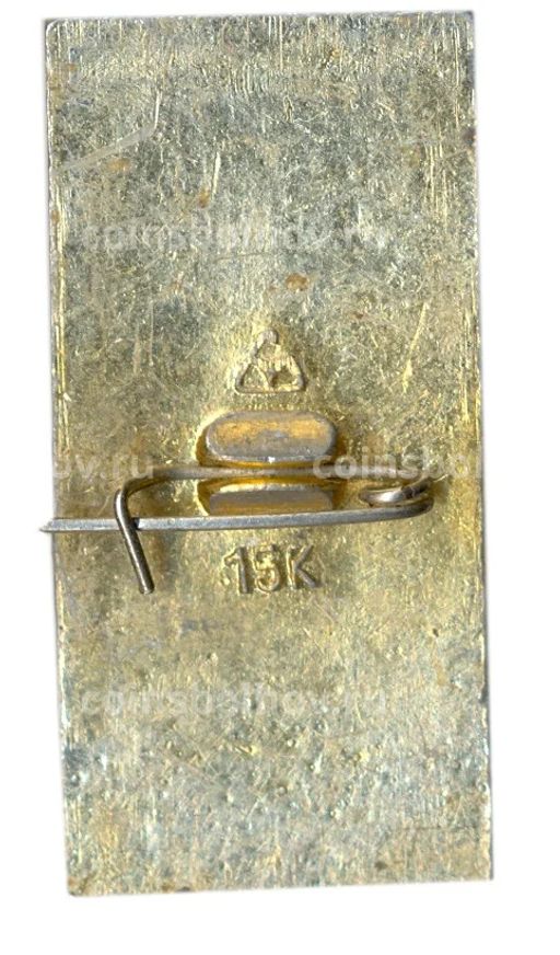 Значок Владимир