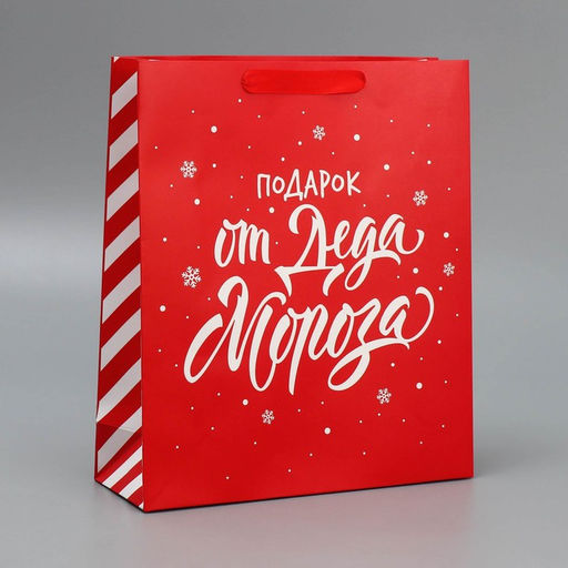 Набор новогодних пакетов «Новогодний подарок»