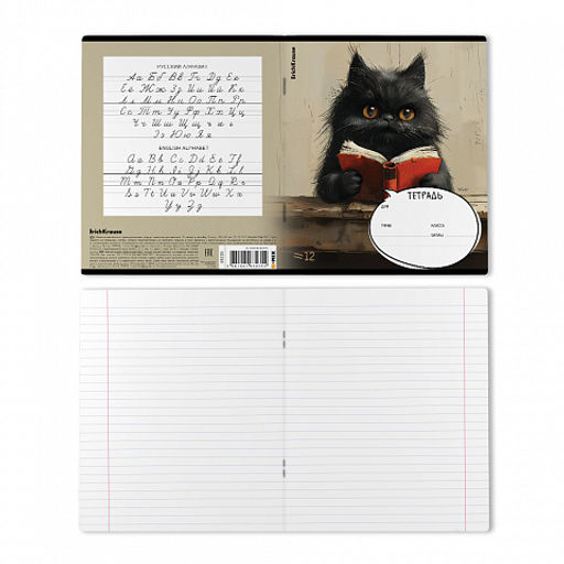 Цена за 10 шт. Тетрадь школьная ученическая ErichKrause Funny Friends, 12 листов, линейка (в плёнке по 10 шт.)_MIX-PACK  фото 8
