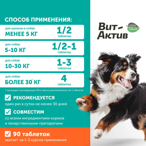 Витамин Вит-Актив СК-Х Хондро д/собак и кошек 90 таб., 6 уп.блок, Фармакс  фото 4