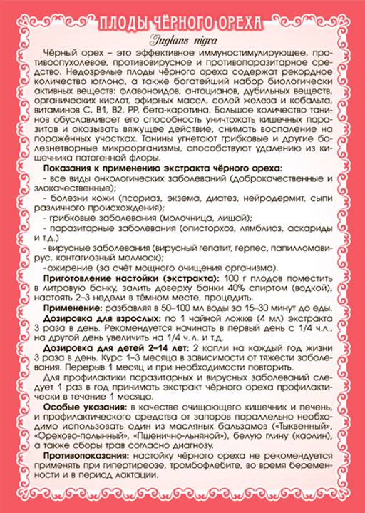 Чёрный орех (плоды) - Мариславна фото 4