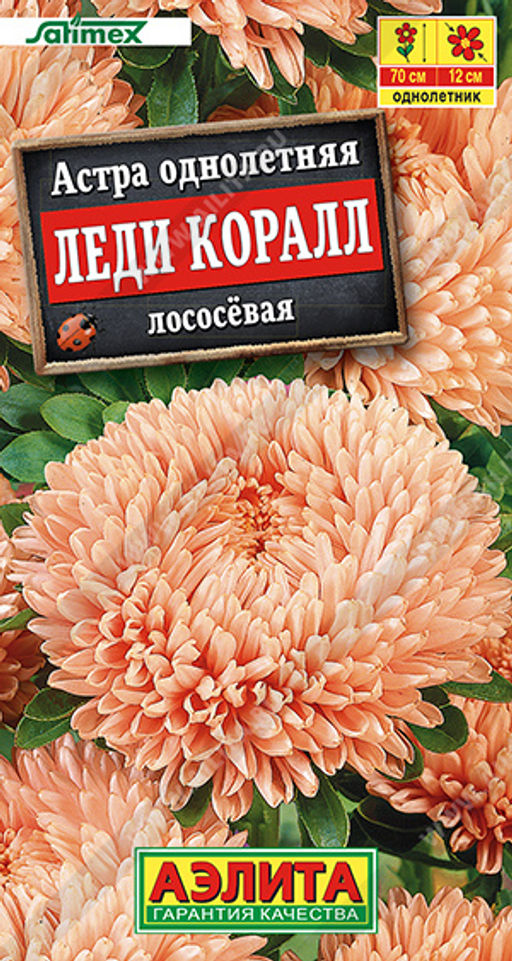 Астра Леди Коралл лососевая (2028