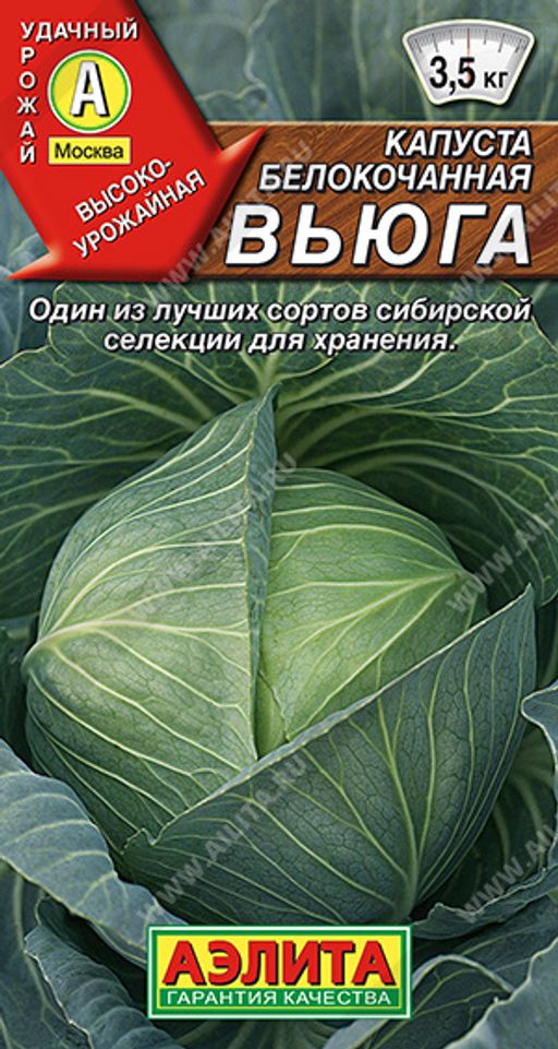 Капуста б/к Вьюга
