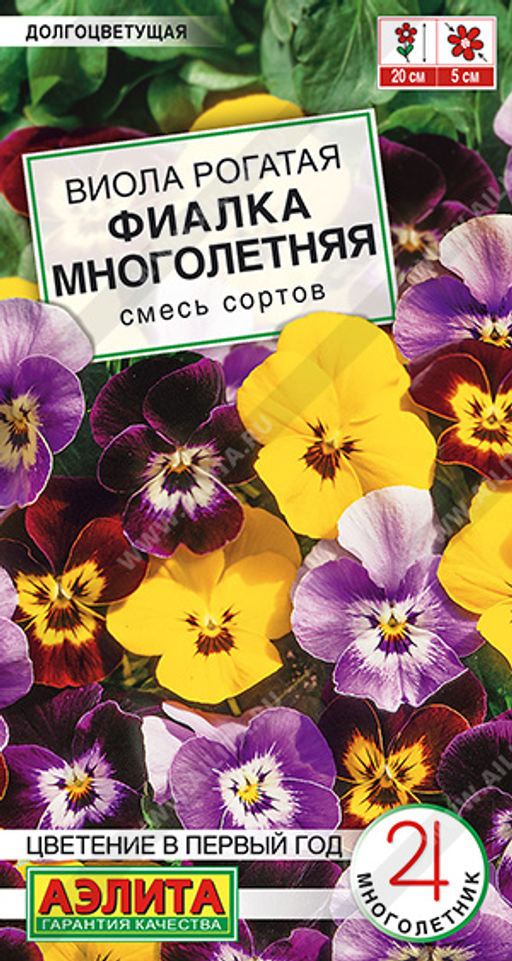 Виола Фиалка многолетняя, смесь сортов --- Мн Многолетники.Цветение в первый