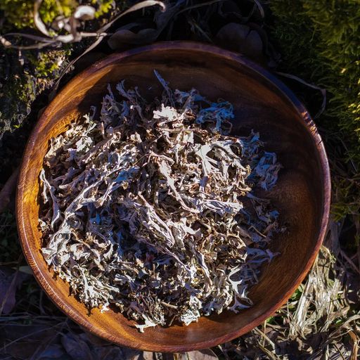 KRONLY Исландский мох 50 гр  фото 5