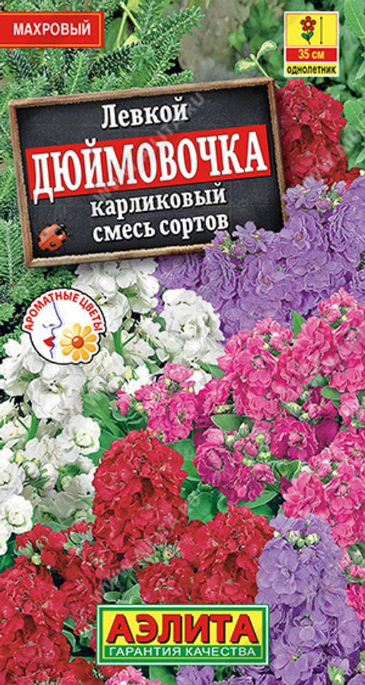 1556A Левкой карликовый Дюймовочка, смесь сортов 0,1гр